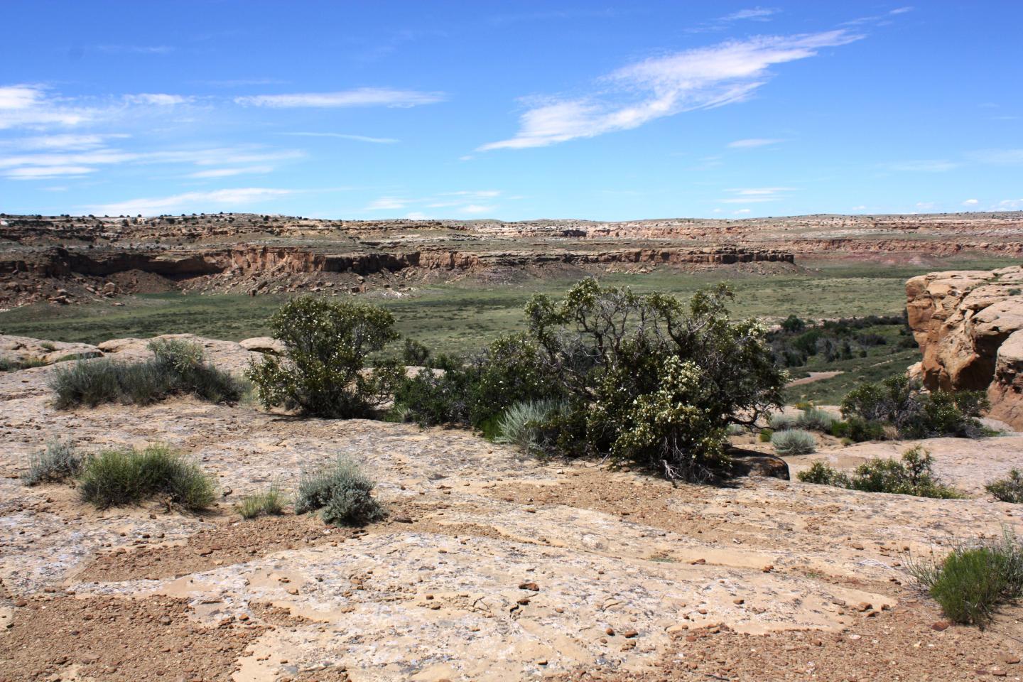 Pueblo Alto Trail with shrubs under a blue sky.