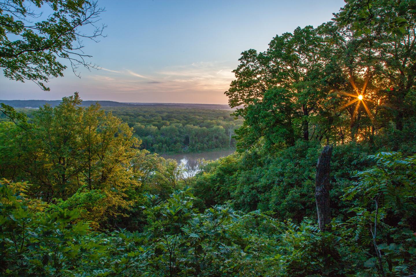 Forest landscape with Missouri river, trees, and a sunset in the background.