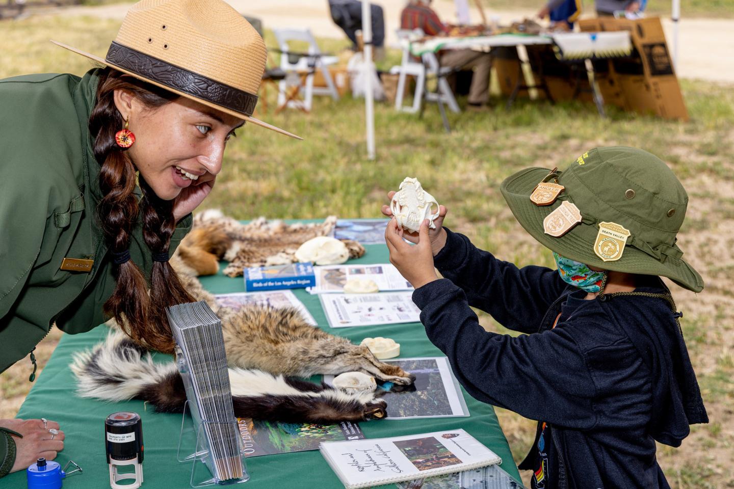 Park ranger and child examining animal skulls at an outdoor table display.