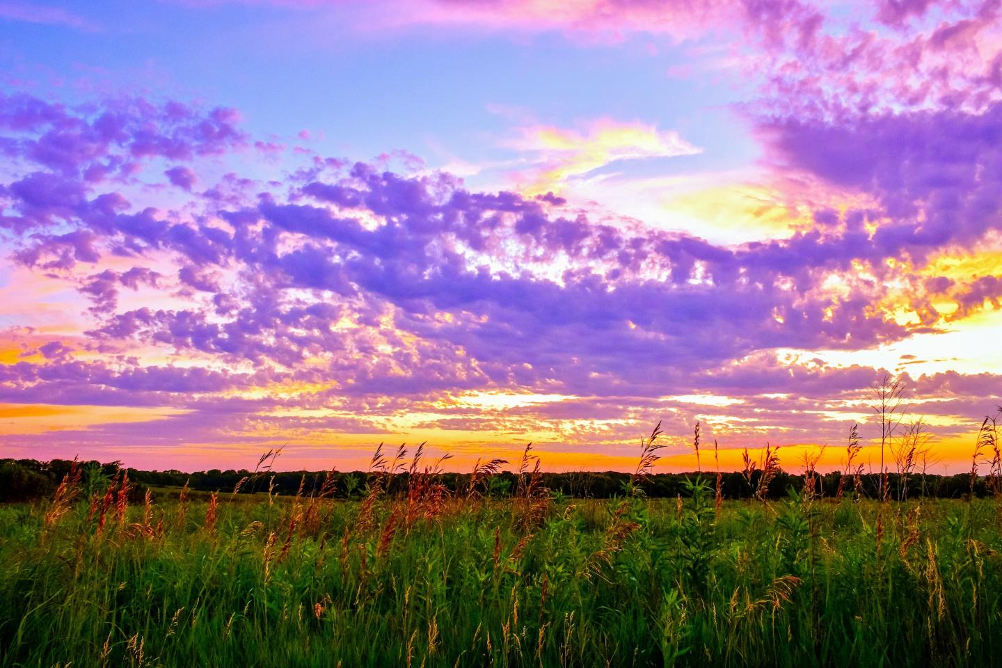 Colorful sunset over a green field with scattered clouds.