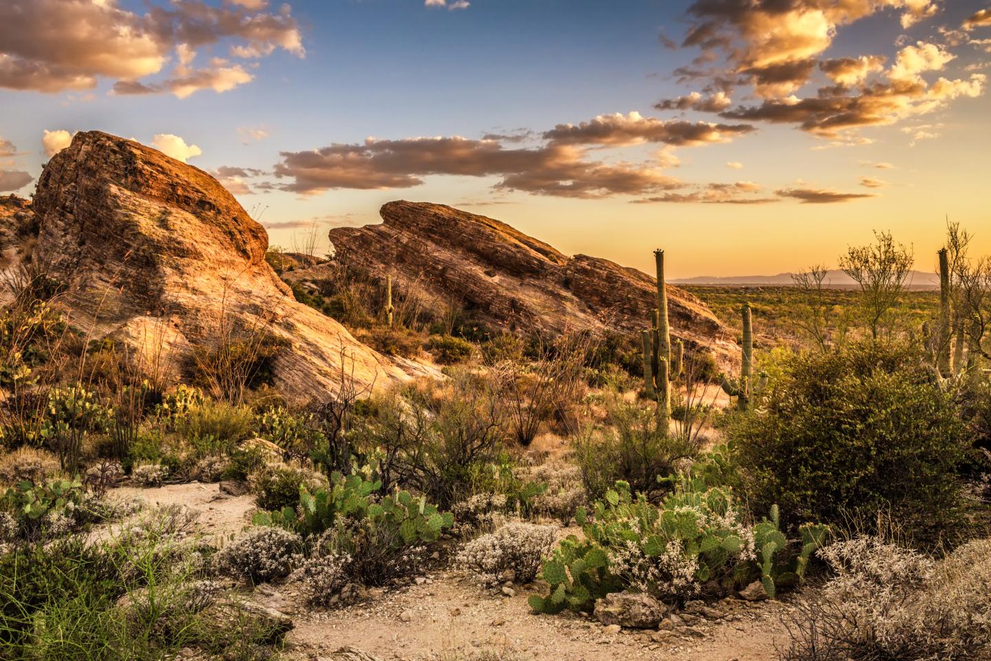 Desert landscape with cacti, rocky formations, and a colorful sunset sky.