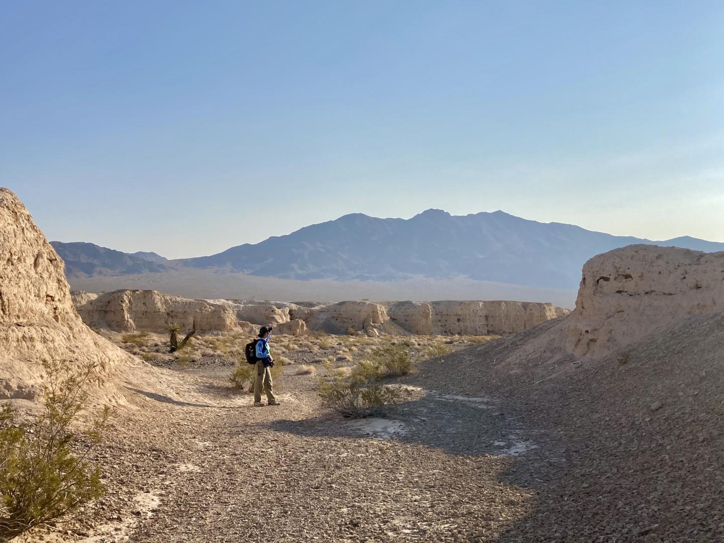 Hiker with backpack walking through desert landscape fossilbeds, distant mountains under a clear sky.