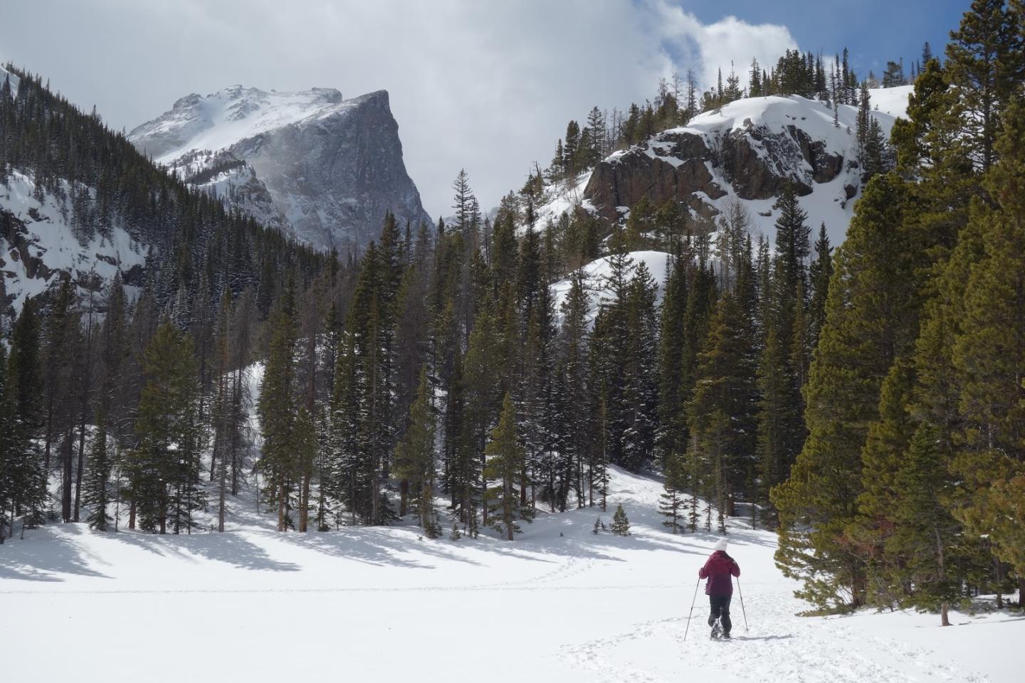 A person snowshoeing in a snowy forest with mountains in the background.