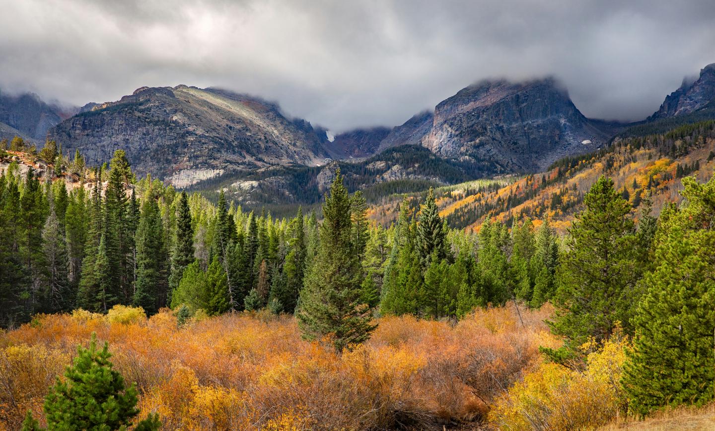 Forest and mountains with cloudy skies, autumn foliage in warm tones.