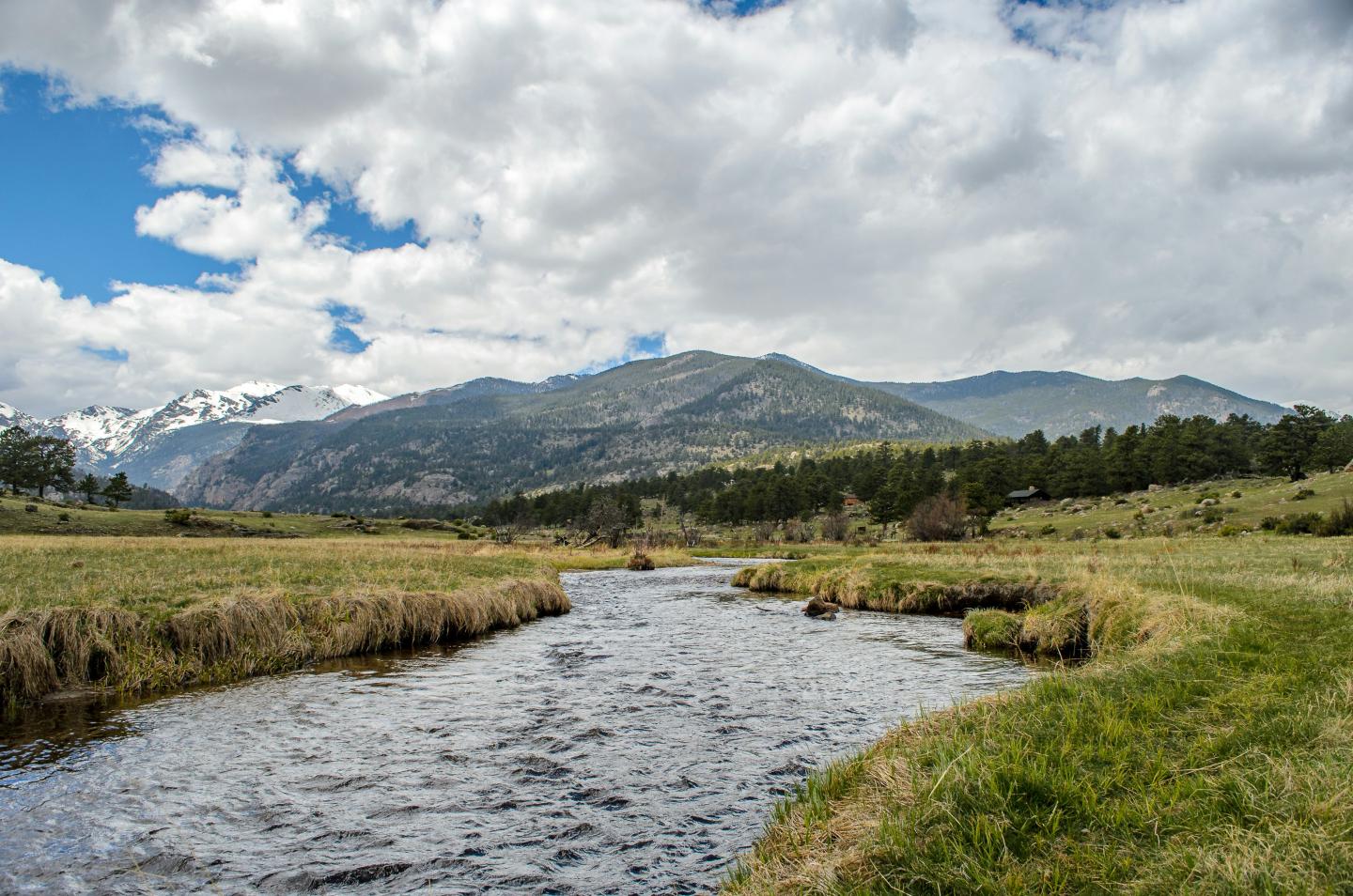 Stream flowing through grassy field with mountains in the background.