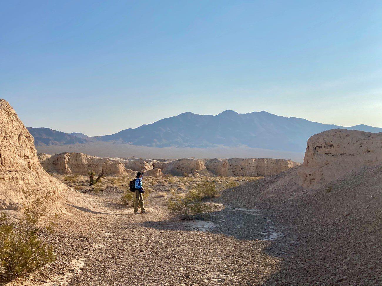 Tule Springs Fossil Beds