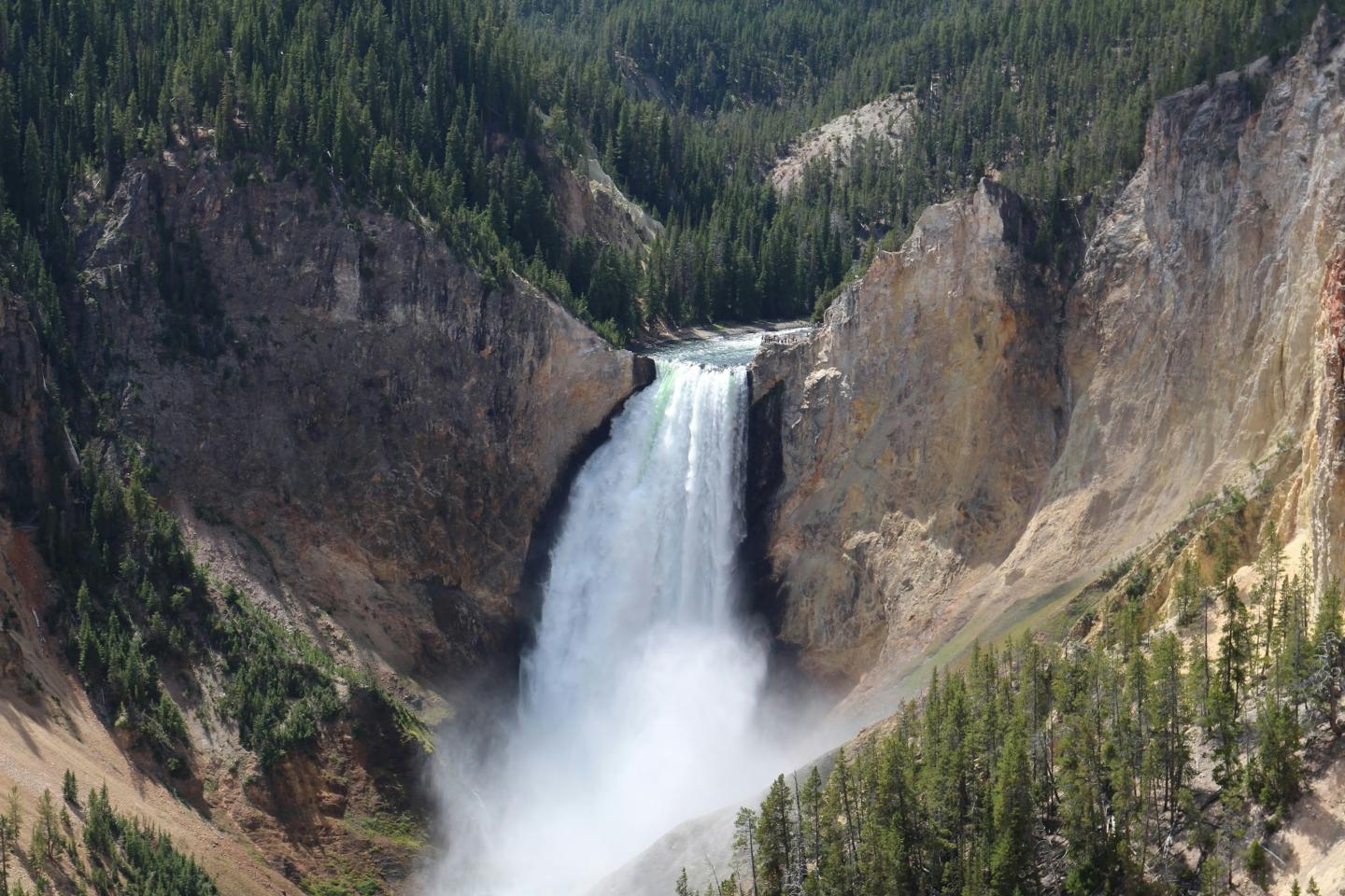 Tower Falls cascading between rocky cliffs surrounded by dense green forest.