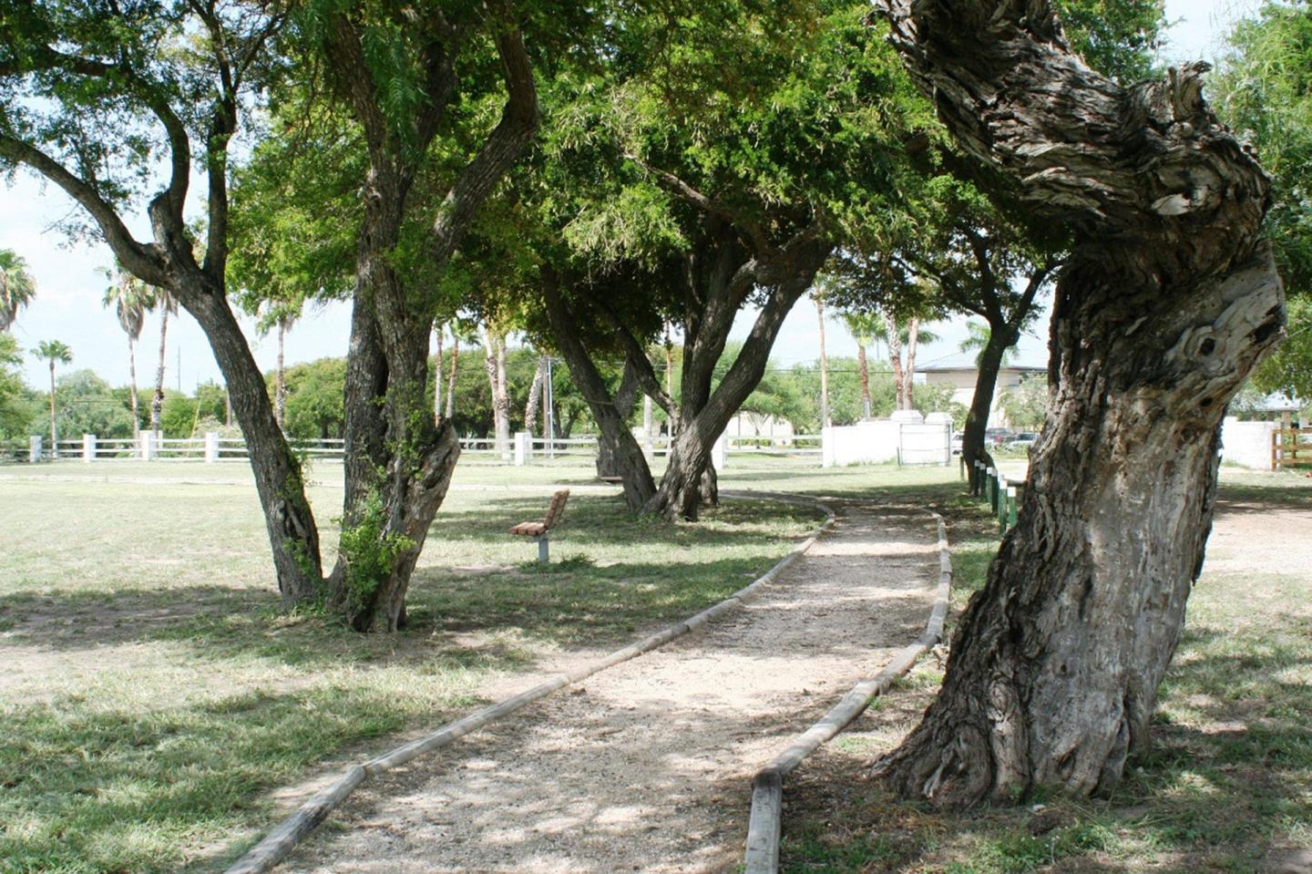 Tree-lined Palo Alto trail in a sunny park with a wooden bench.