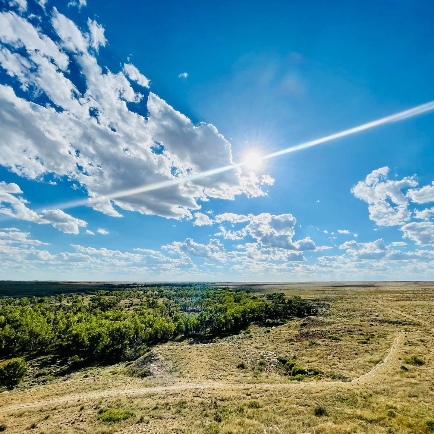 The Turkey Trail at Cimarron National Grassland