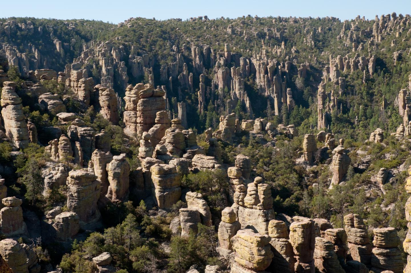 Rock formations and greenery in Chiricahua National Monument.