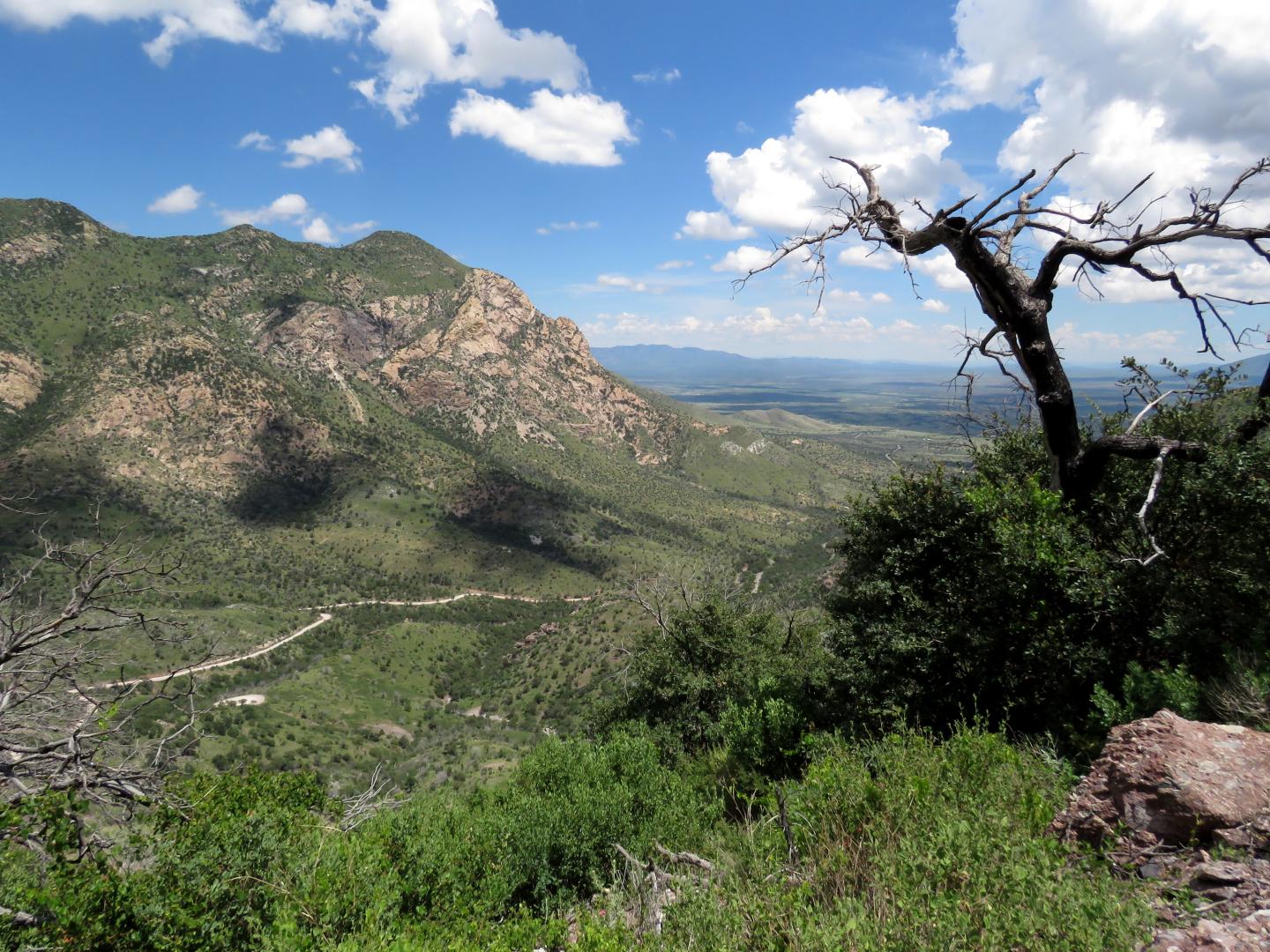 Mountain landscape with blue sky, scattered clouds, and a bare tree in the foreground.
