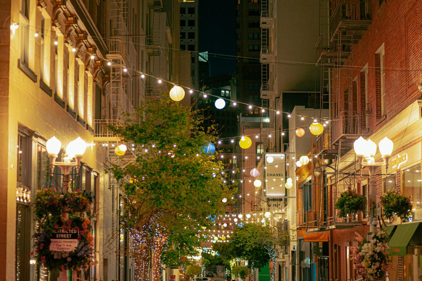 Narrow San Francisco street at night with hanging lights and trees.