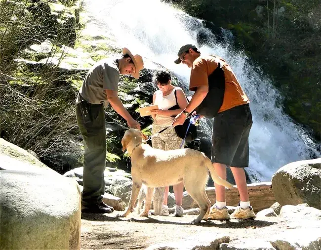 A good boy gets petted at a Whiskeytown fall