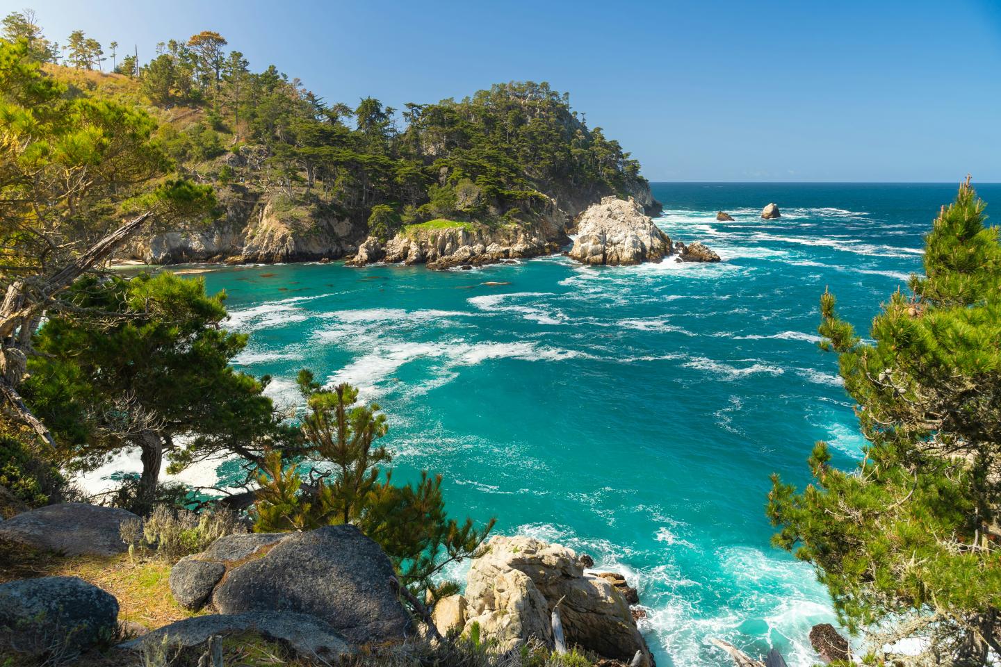 Point Lobos with turquoise sea, cliffs, and lush greenery under a clear blue sky.
