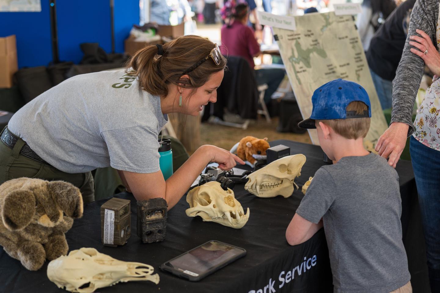 Woman showing animal skulls to a boy at a park service table.