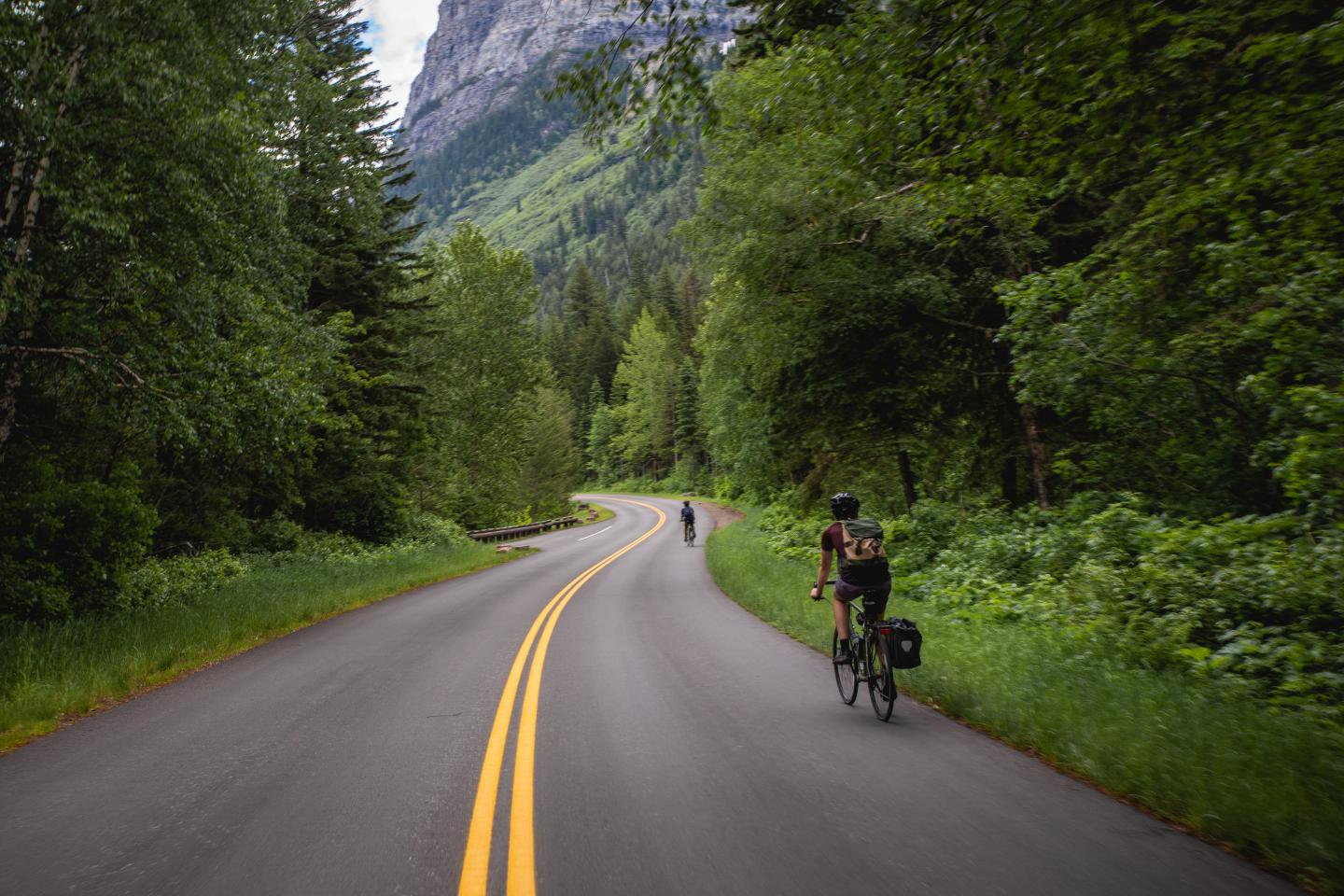 Cyclists on a winding road through a lush, green forest with mountains in the background.