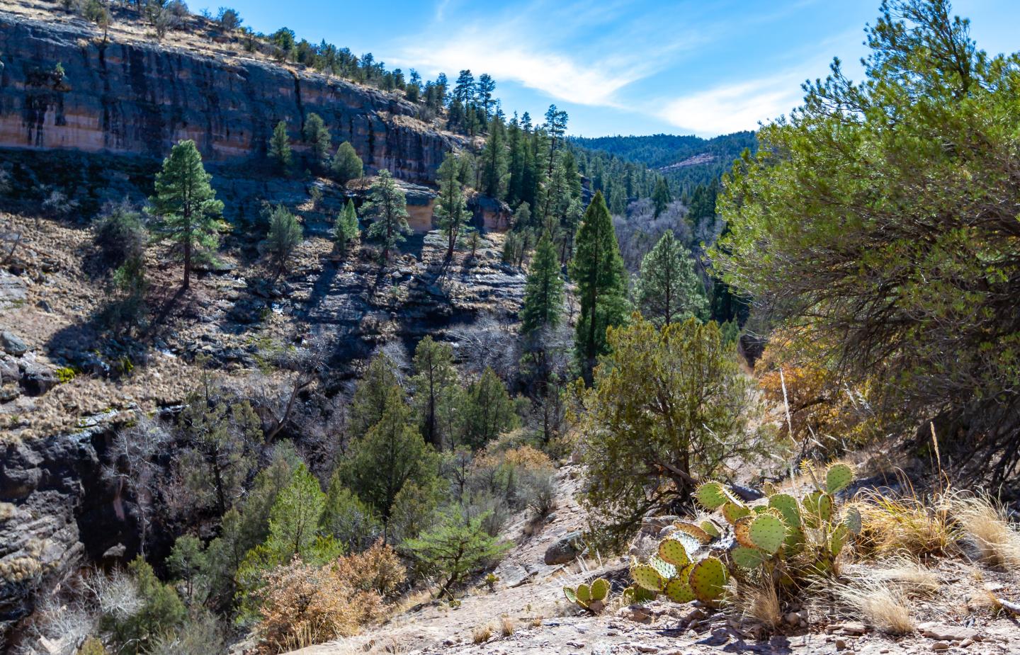 Gila Cliff Dwellings