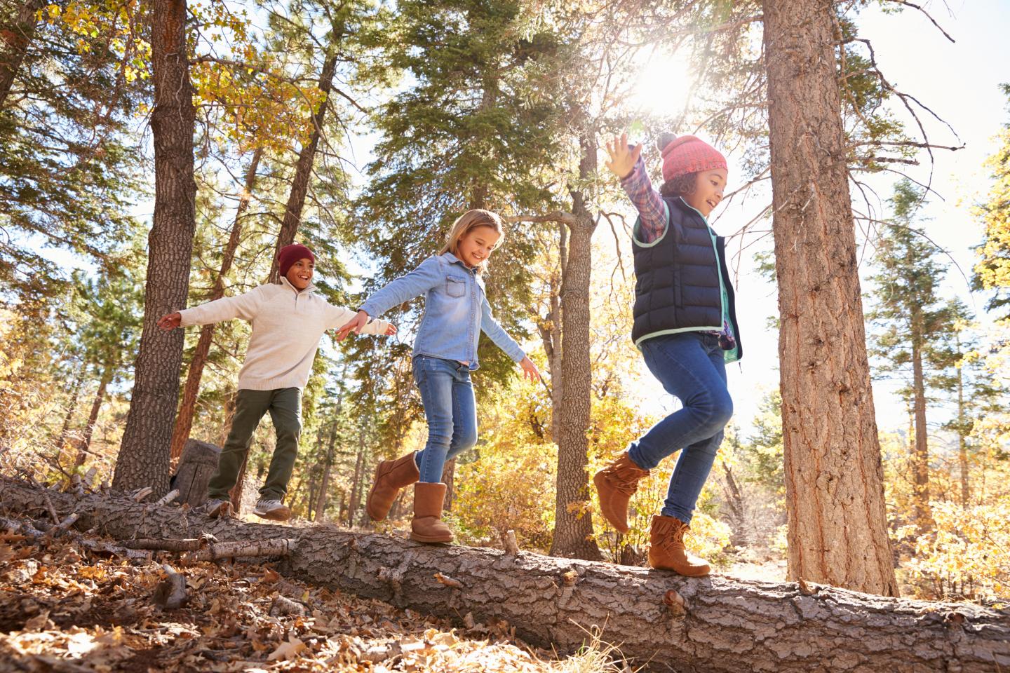 Children balancing on a fallen tree in a sunlit forest.