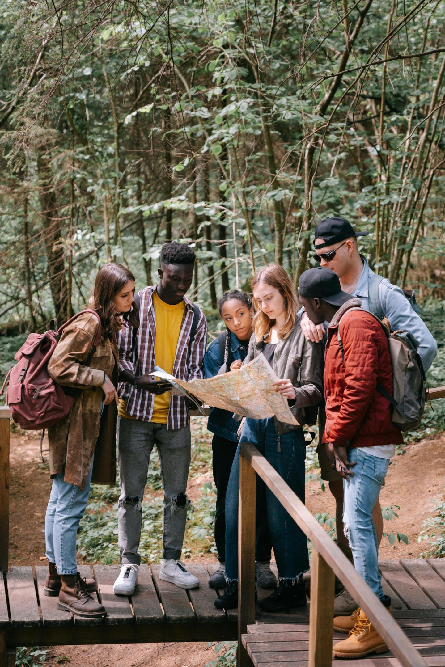 Group of people in a forest looking at a map on a wooden bridge.