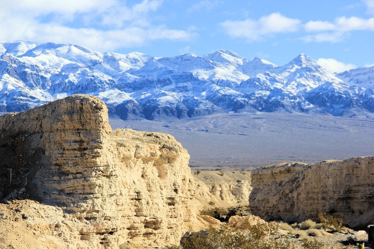 Desert canyon with snowy mountains under a blue sky.
