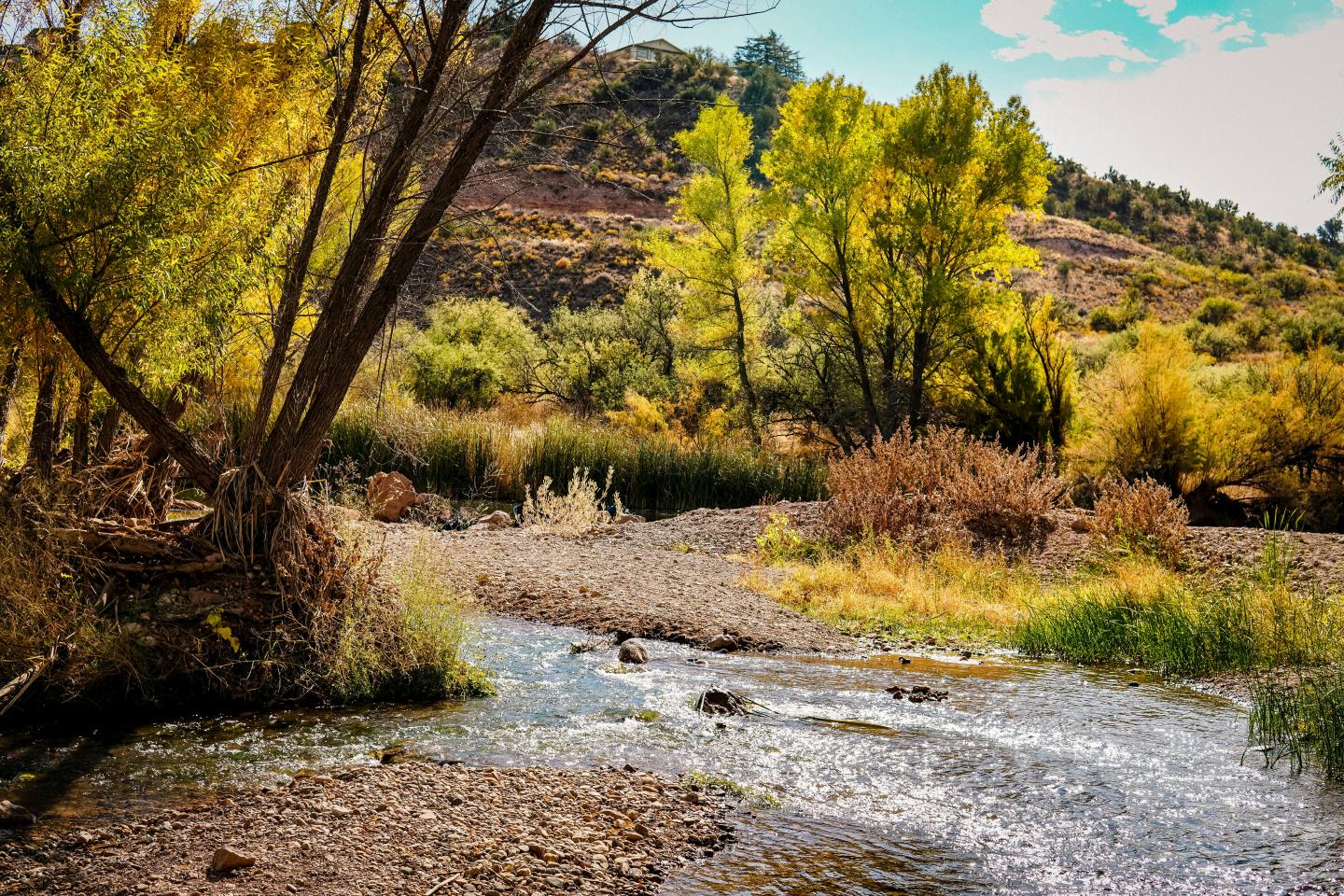 Flowing river with trees and shrubs under a bright sky.
