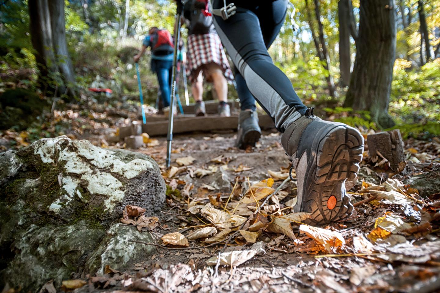 Hikers walking on a forest trail in autumn, focus on a boot.