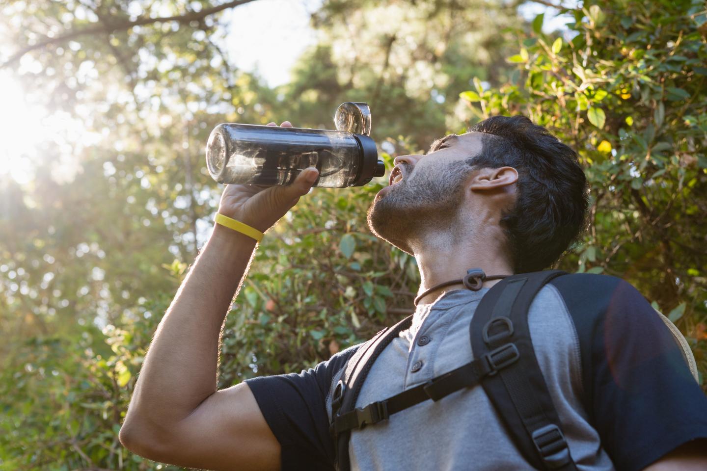 Hiker drinking from a water bottle in a sunlit forest.