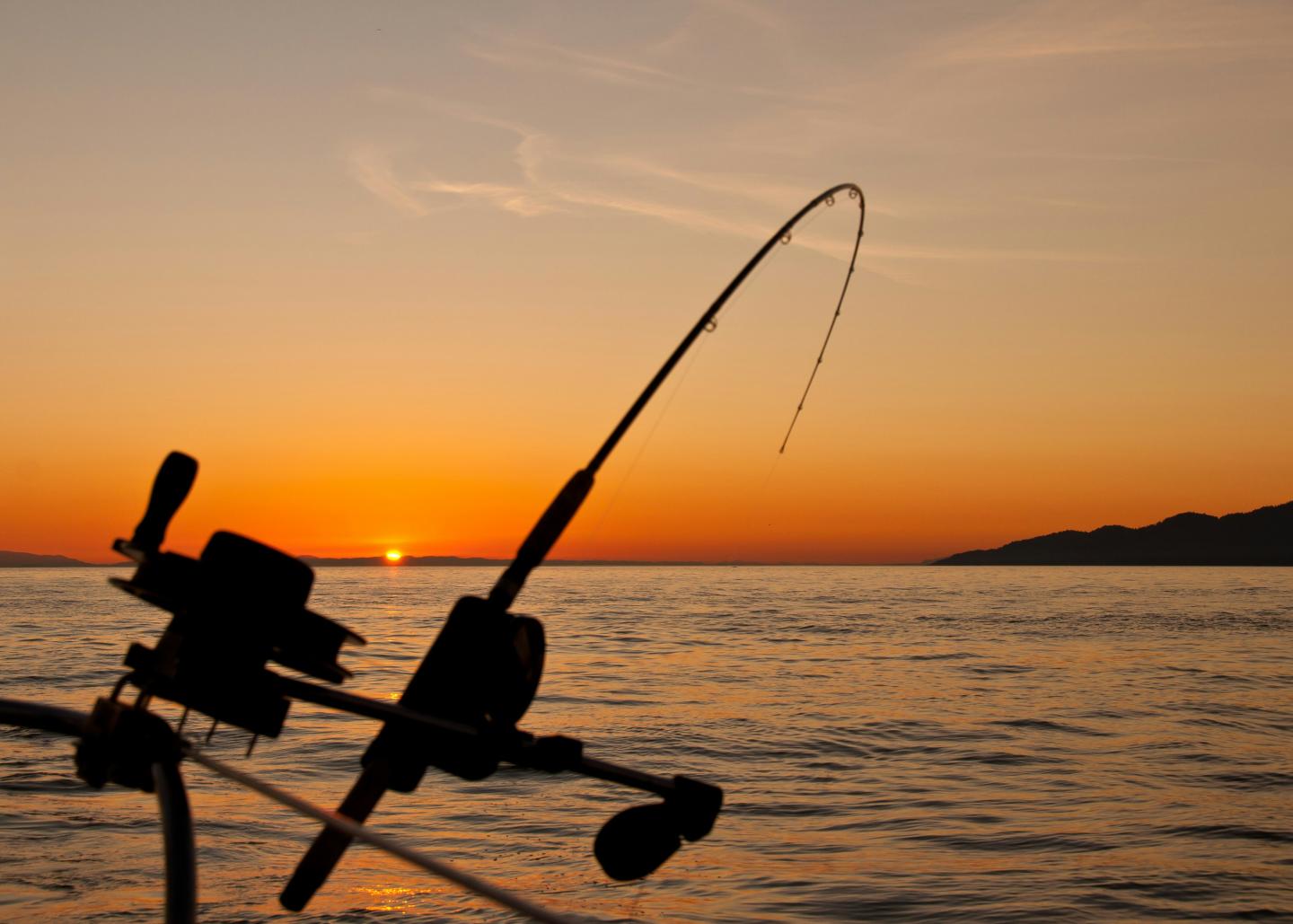 Fishing rod silhouetted against an orange sunset over the ocean.