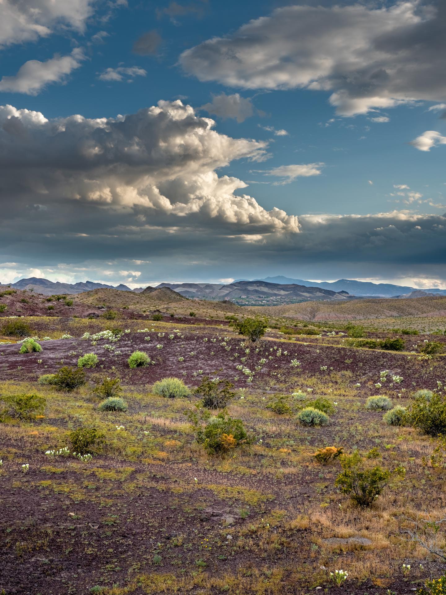 Cloudy sky over a desert landscape with sparse vegetation.