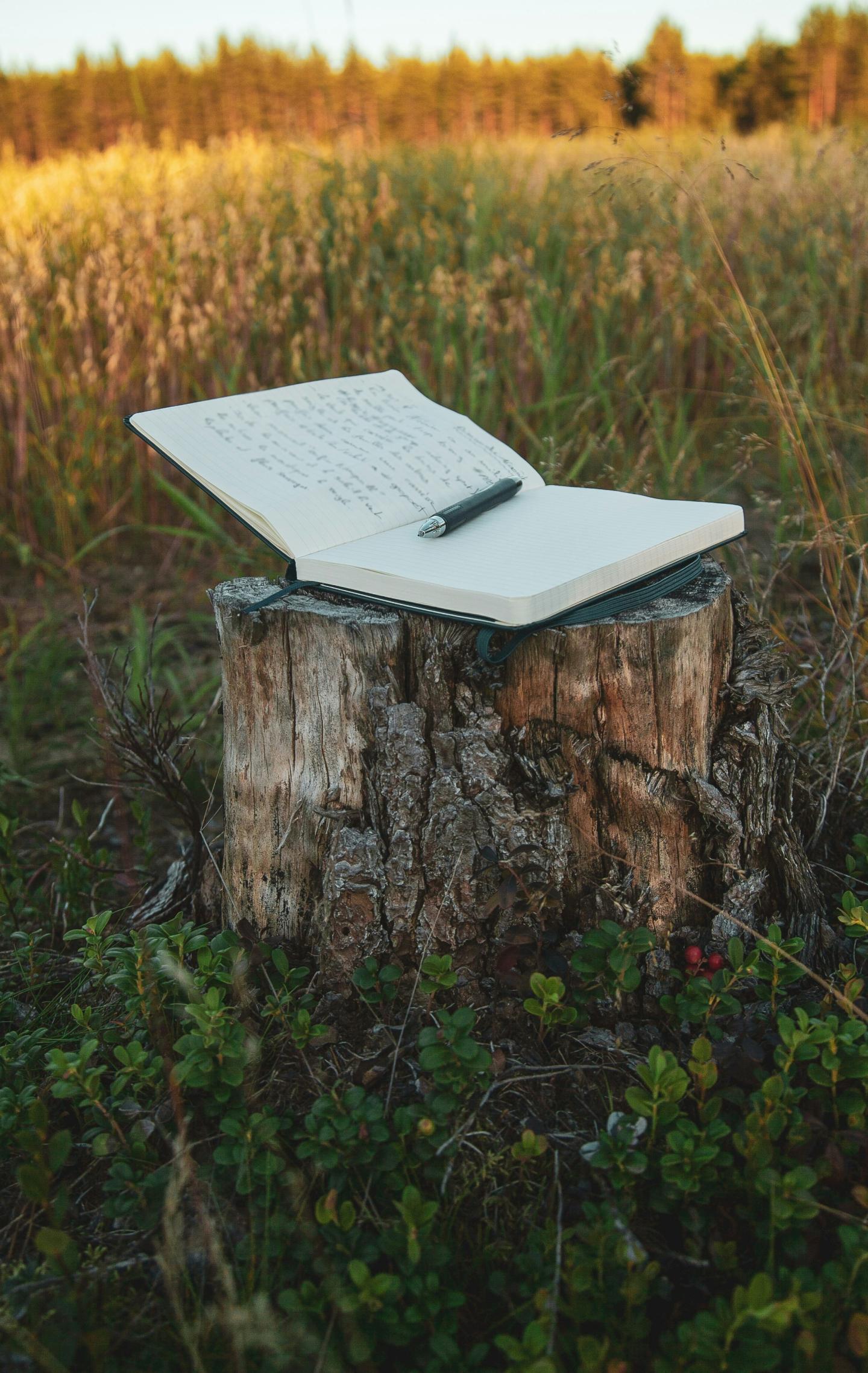 Notebook and pen on a tree stump in a grassy field.