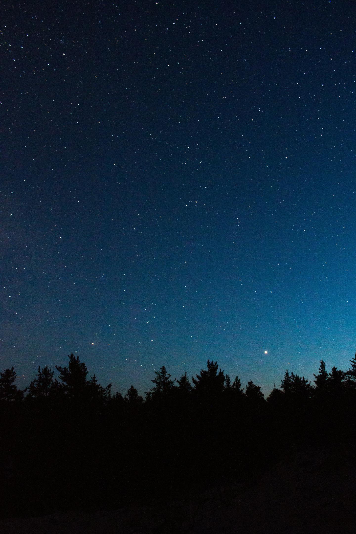 Starry night sky over a silhouette of trees.