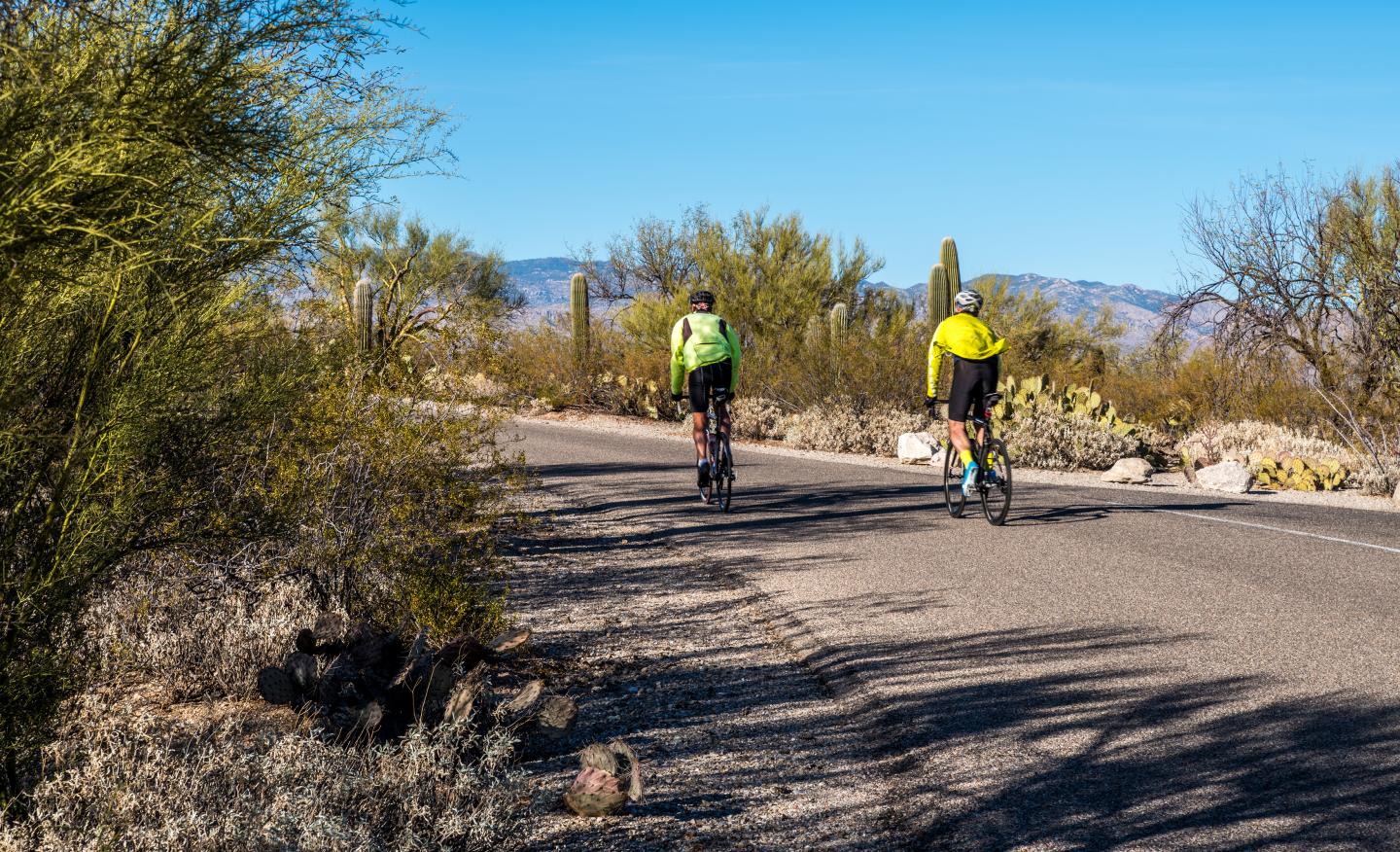 Cyclists in bright gear ride on a desert road under a clear blue sky.