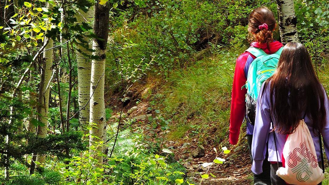 Two people hiking on a forest trail surrounded by green trees.