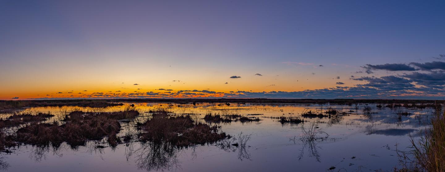 Sunset over a wildlife refuge, with orange and purple hues reflecting on the water.