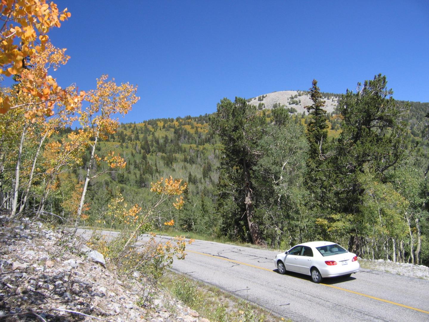 A white car driving on a road in a forested mountain landscape with a clear blue sky.
