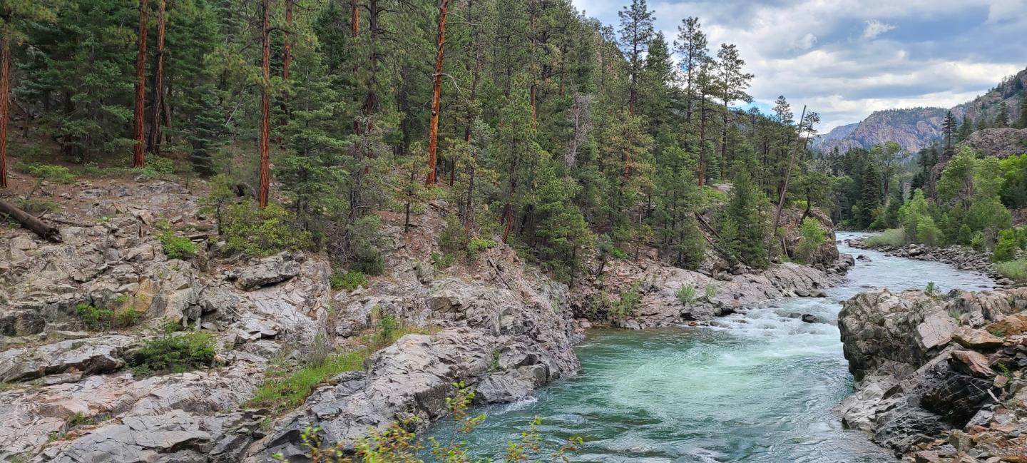 Rocky river flowing through a forested canyon under a cloudy sky.