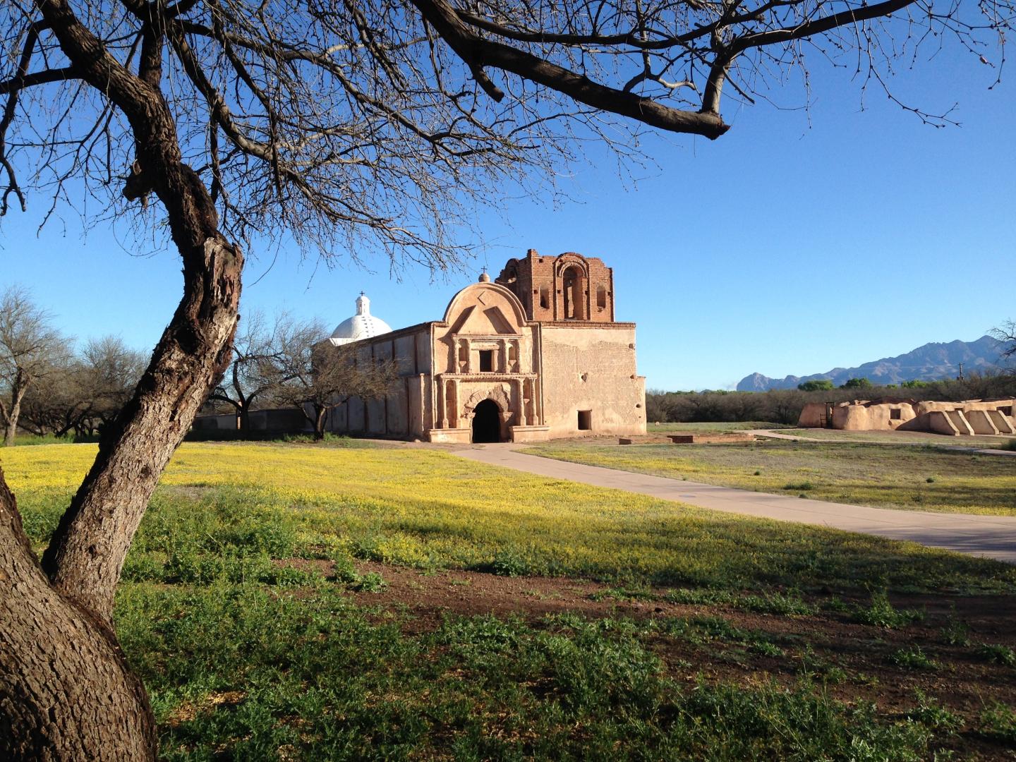 Historic mission building with a tree and grassy field under a clear blue sky.