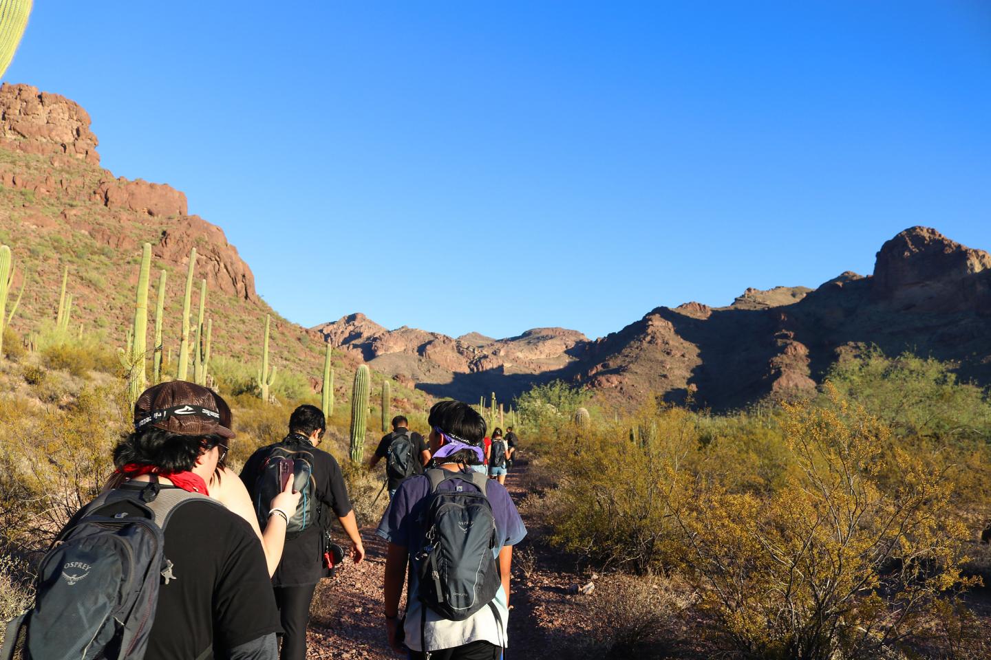 Hikers walk on a desert trail surrounded by cacti and rocky hills under a clear blue sky.