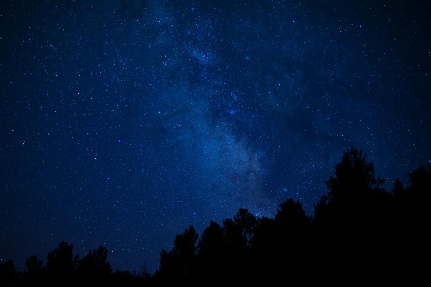 Starry night sky over silhouetted trees.