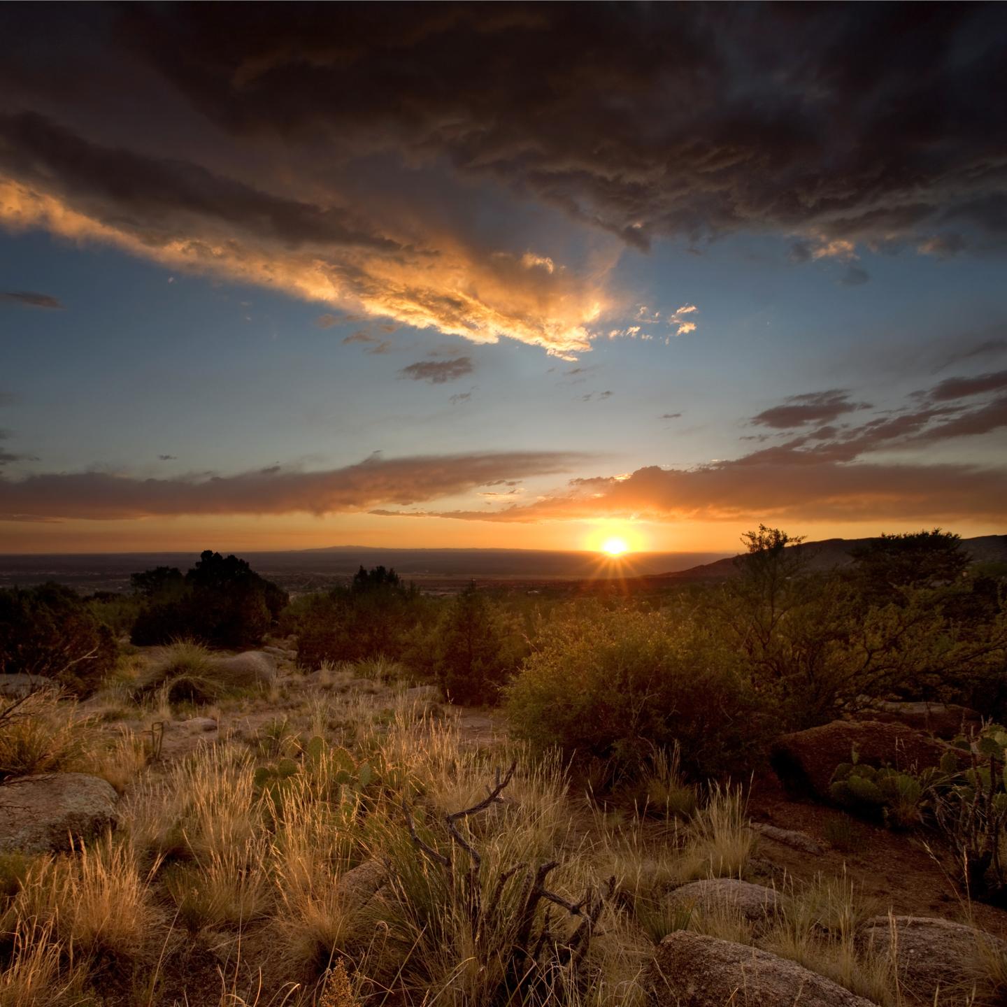 Sunset over a grassy landscape with clouds in the sky.