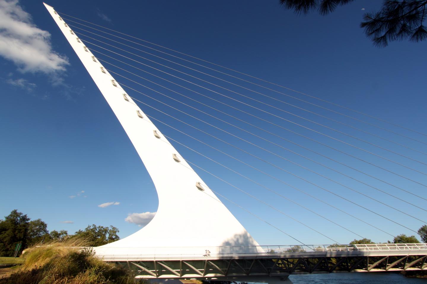 Sundial Bridge with blue sky and trees, modern design.