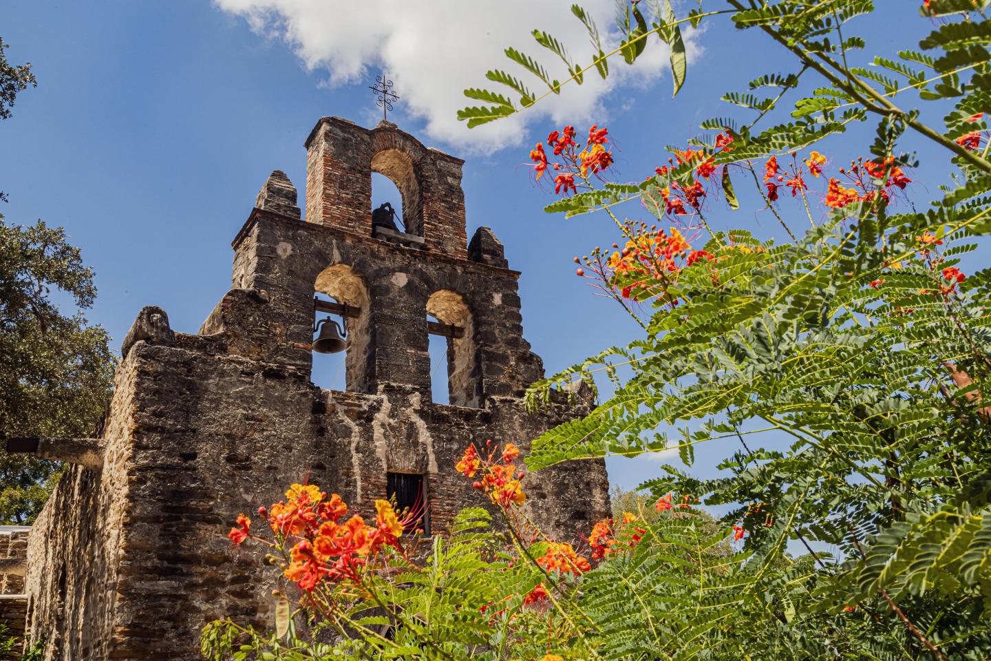 Historic stone building with bell towers, surrounded by orange flowers, under a blue sky.