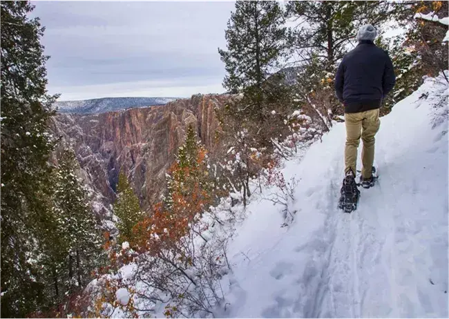 Man snowshoeing on a snowy trail near a canyon, surrounded by trees.
