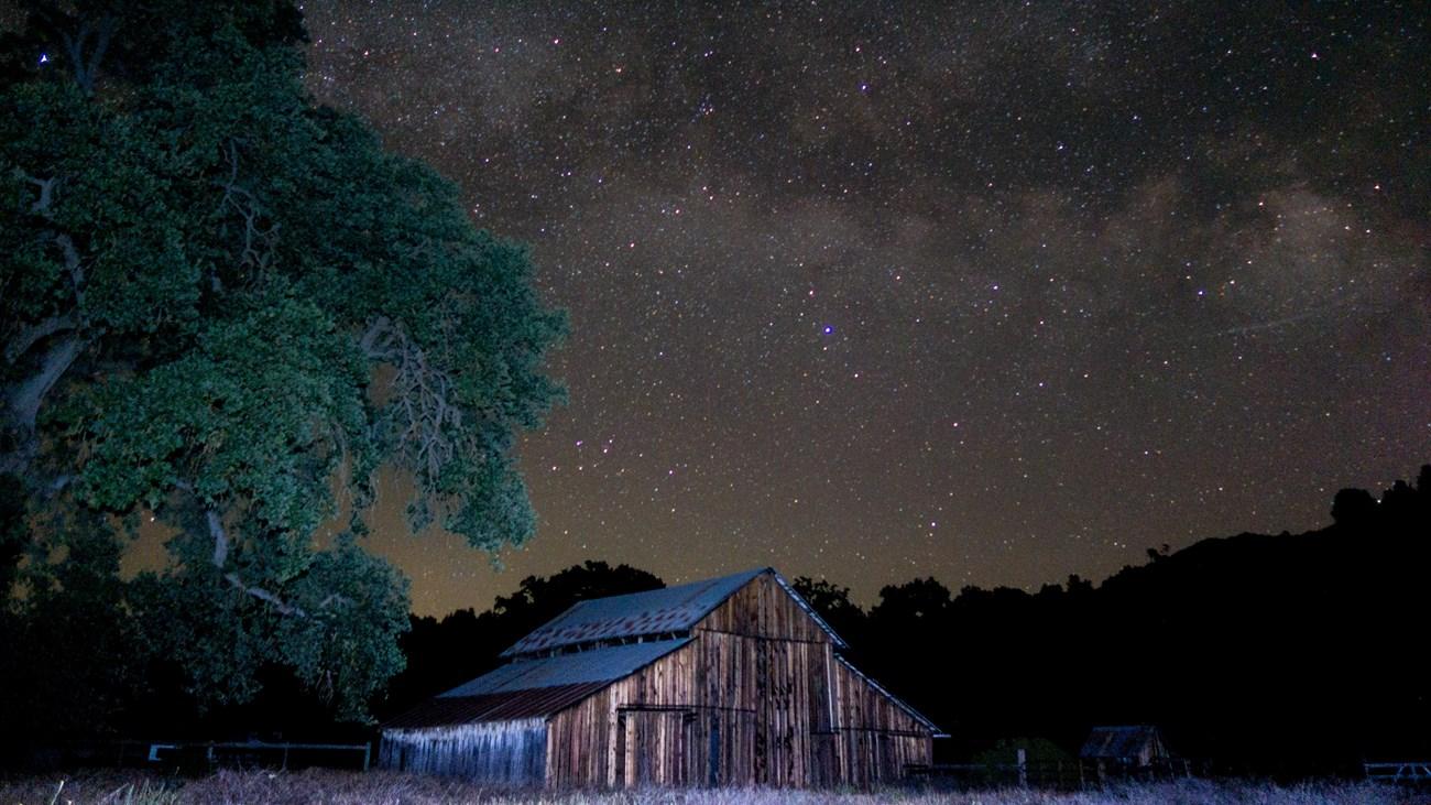Starry night over a wooden barn with a large tree to the left.