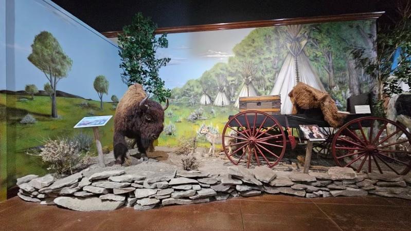 Museum exhibit with a bison, wagon, and teepee, set in a painted forest backdrop.