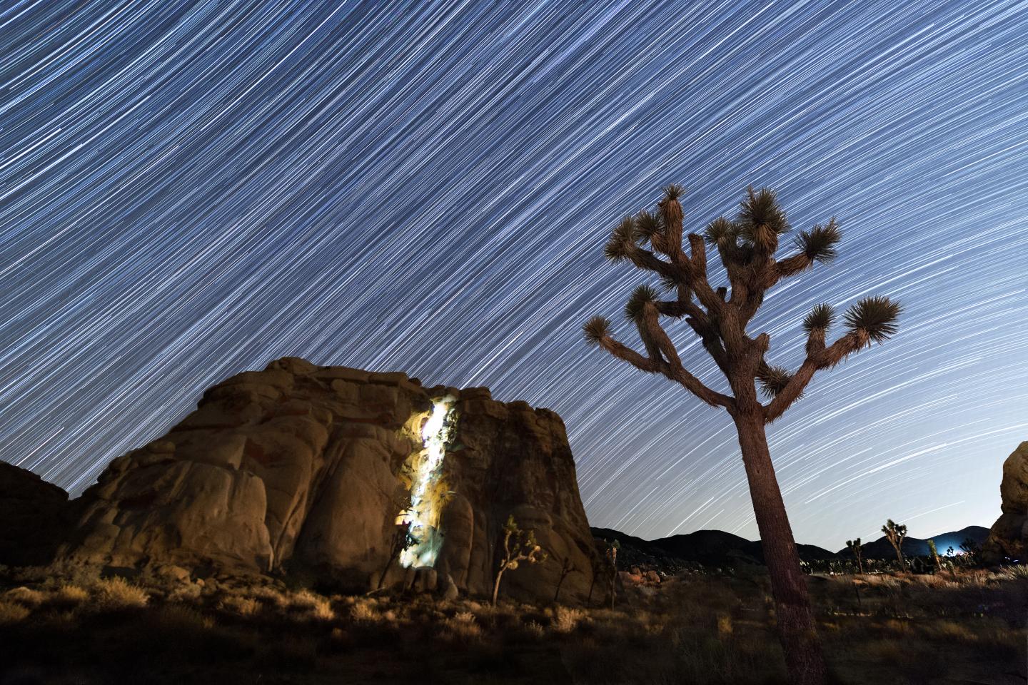 Star trails over desert landscape with a Joshua tree and rock formation.