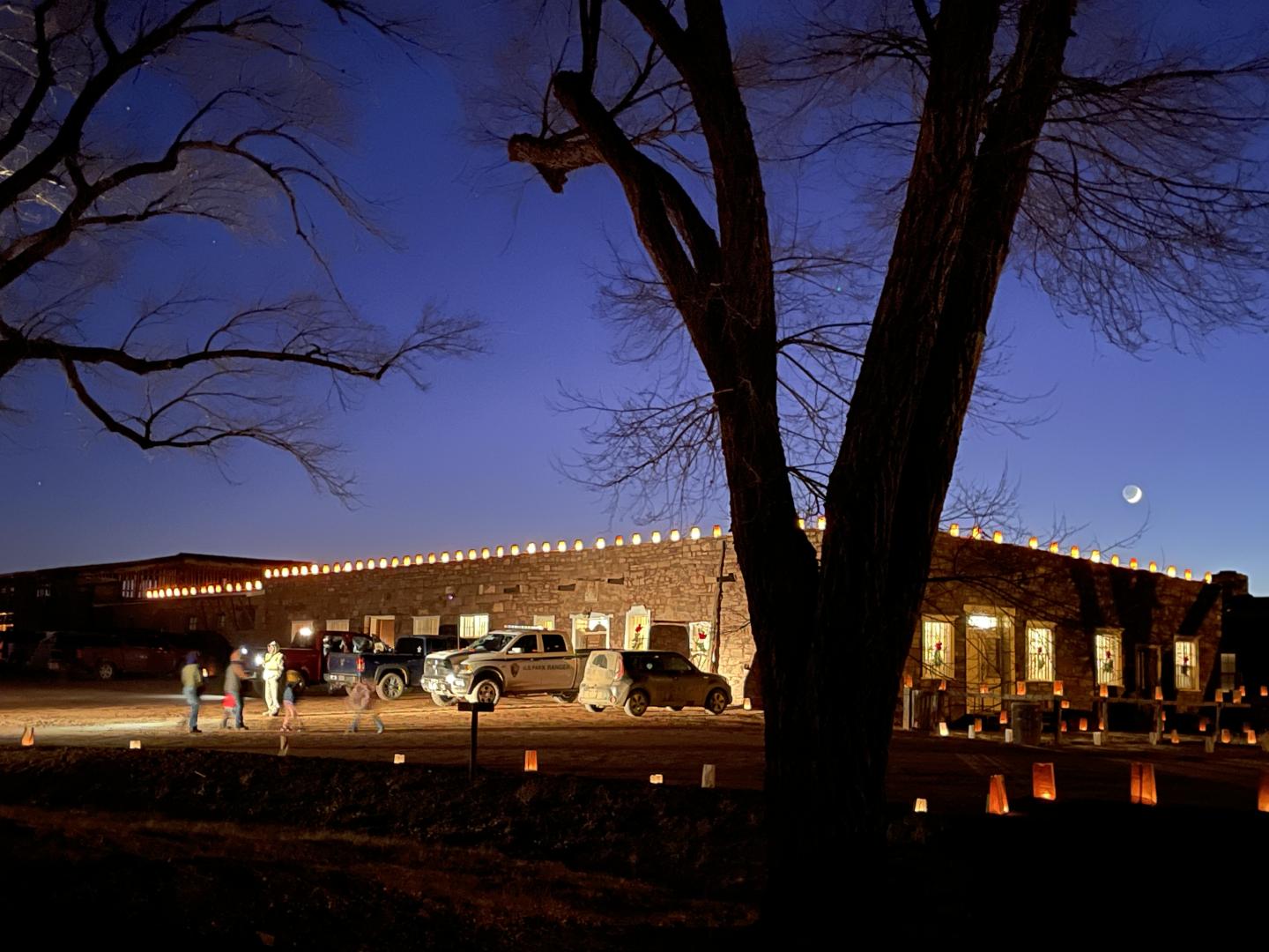 Building with luminaria lights against a twilight sky, large tree silhouetted in foreground.