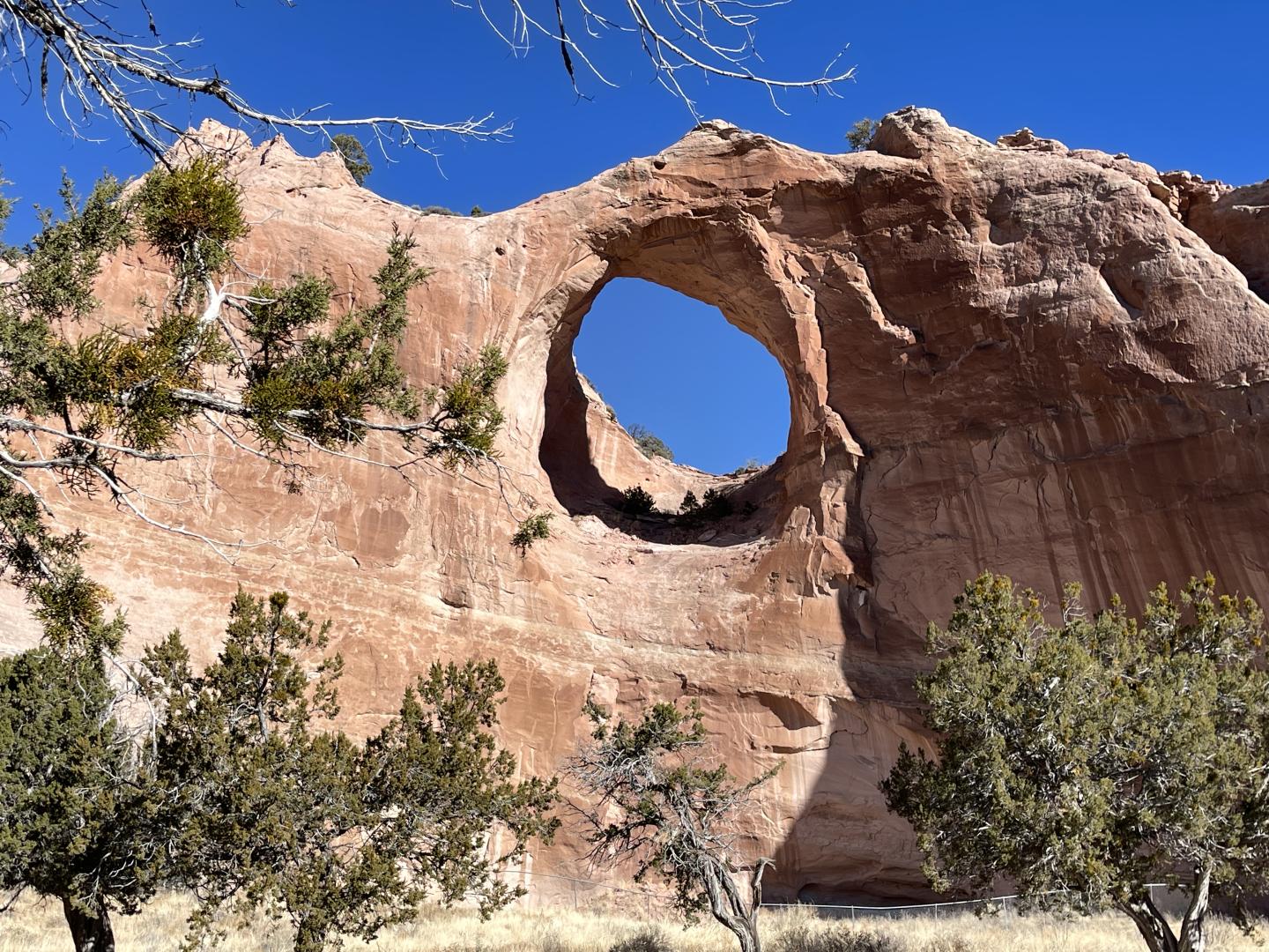 Natural rock arch under a blue sky, surrounded by trees in Window Rock, Arizona