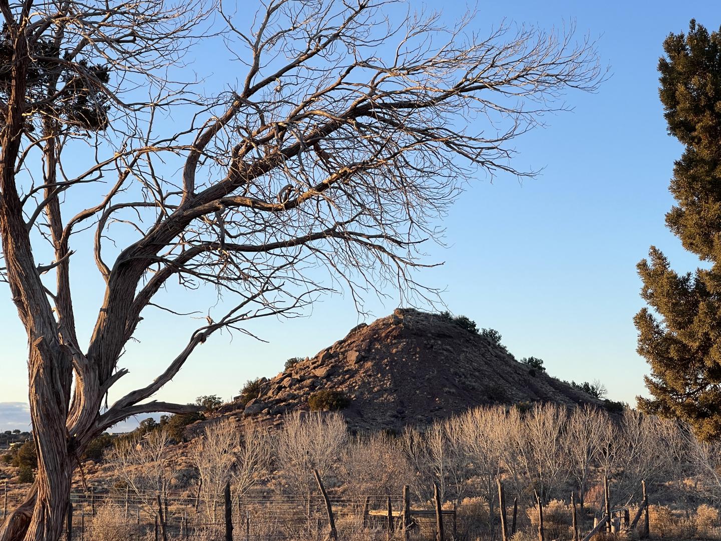 Bare trees and Hubbell Hill under a clear blue sky.