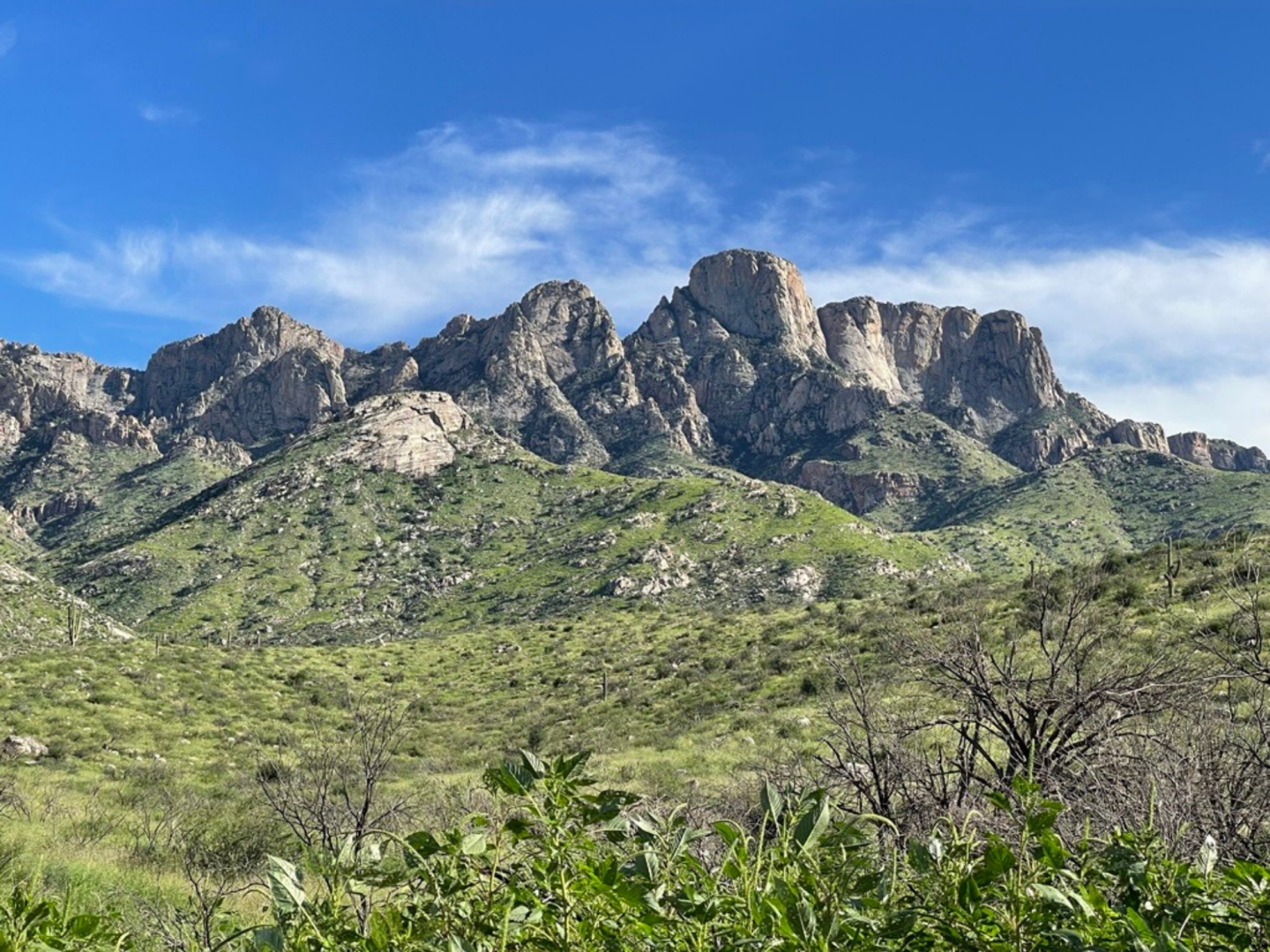 Green mountains under a bright blue sky in Arizona.